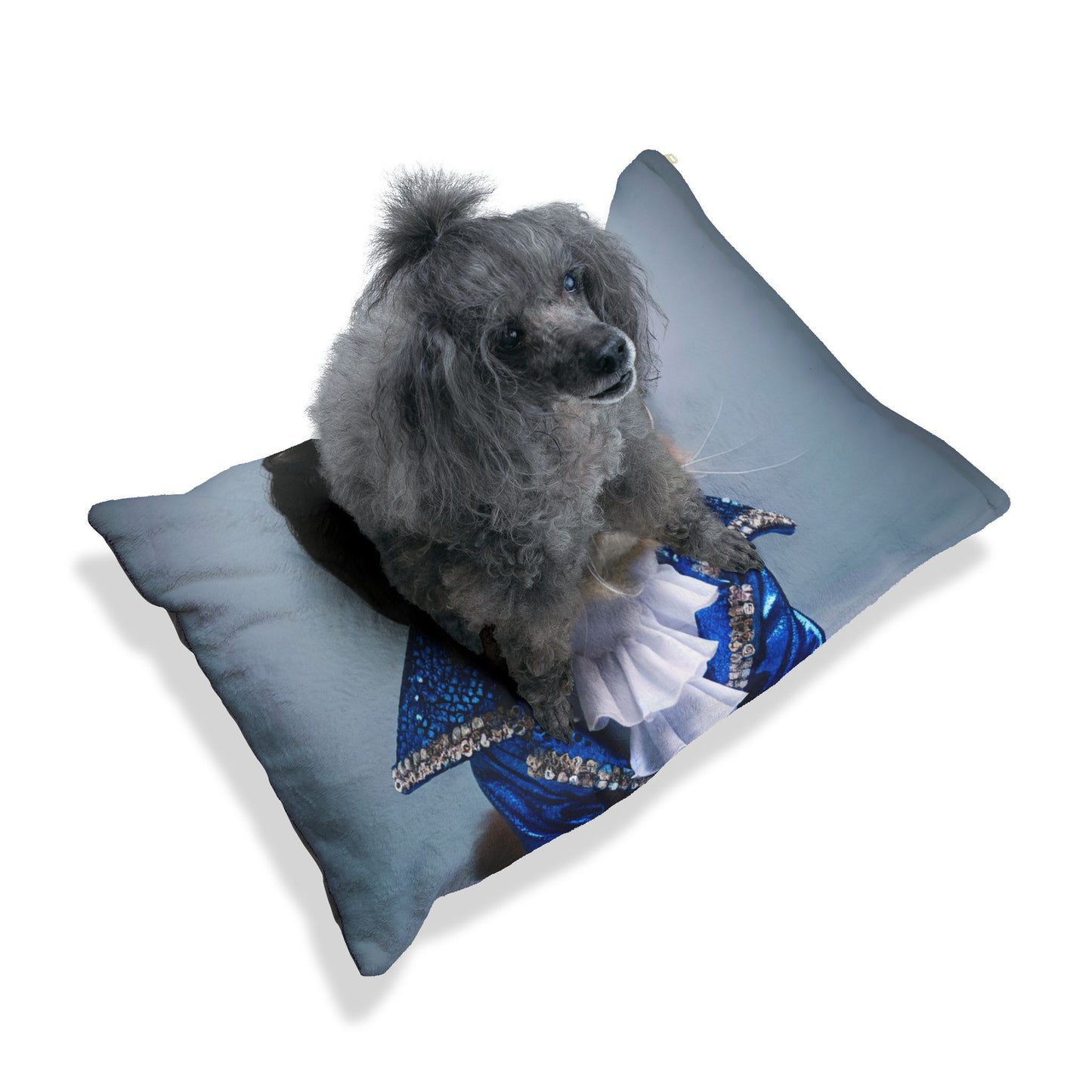 Elvis-Inspired Cat Bed, Stylish Pet Bed, Cozy Cat Cushion, Feline Lounge, Pet Accessories for Cat Lovers, Fun Home Decor